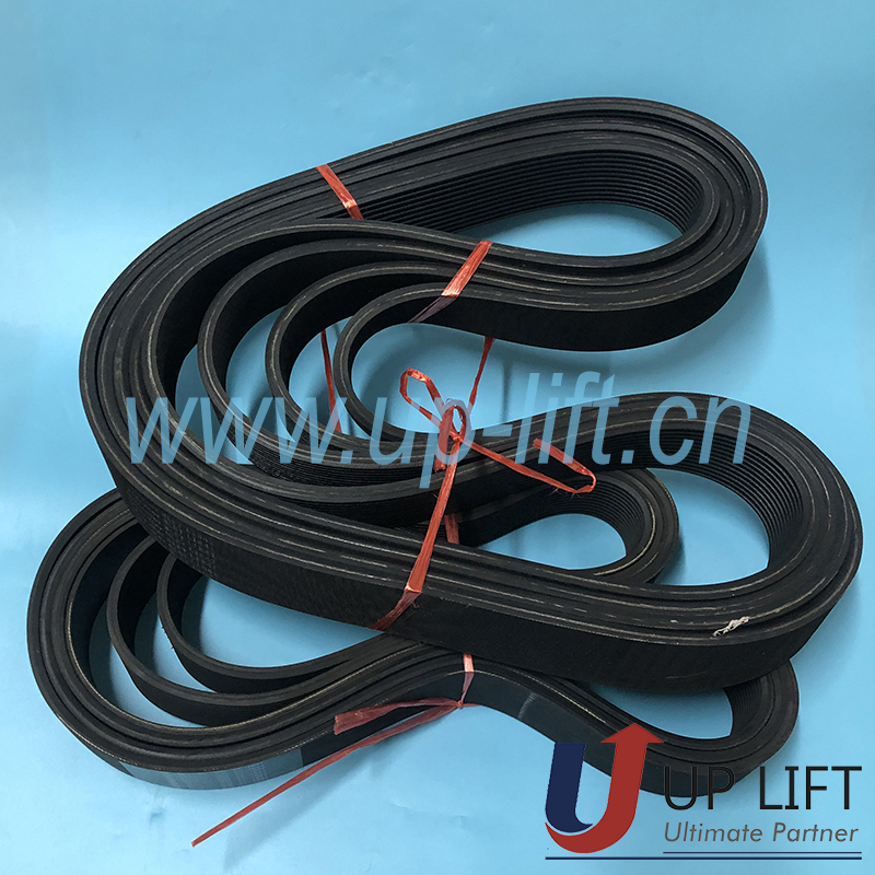 P3SCHbeltPL1841-4