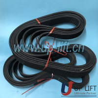 P3SCHbeltPL1841-4