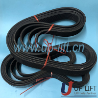 P3SCHbeltPL1841-5