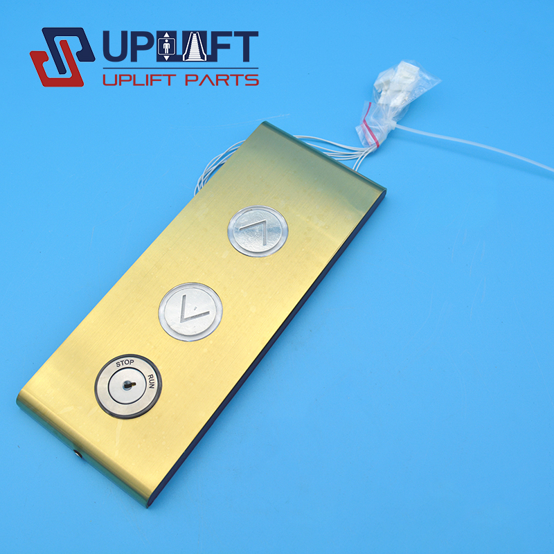 GOLDLOPP262055A000G02-6