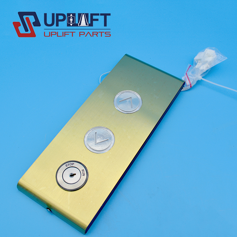 GOLDLOPP262055A000G02-3