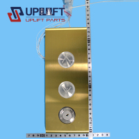 GOLDLOPP262055A000G02-1