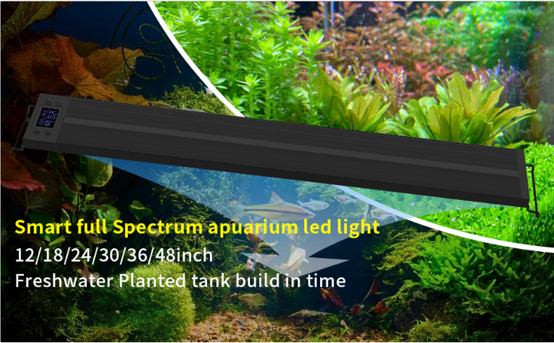 微信截图_20200922110013