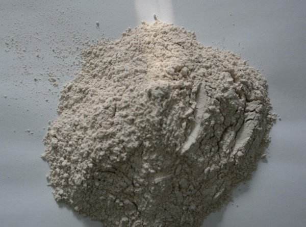 timg-1