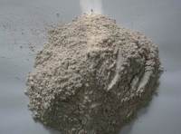timg-1