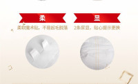 微信图片_20190401124750_副本1