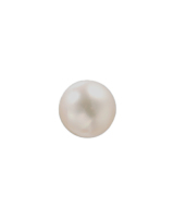ok1-E56142C0-CP-KY-1
