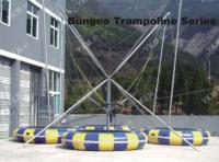 Luxuriousfourpeoplebungeejumpingequipmentforamusementparkuse