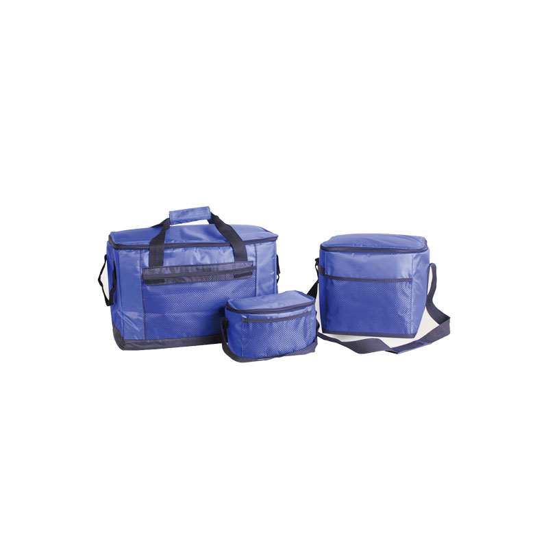 Hot Sale custom thermal lunch Tote cooler bag