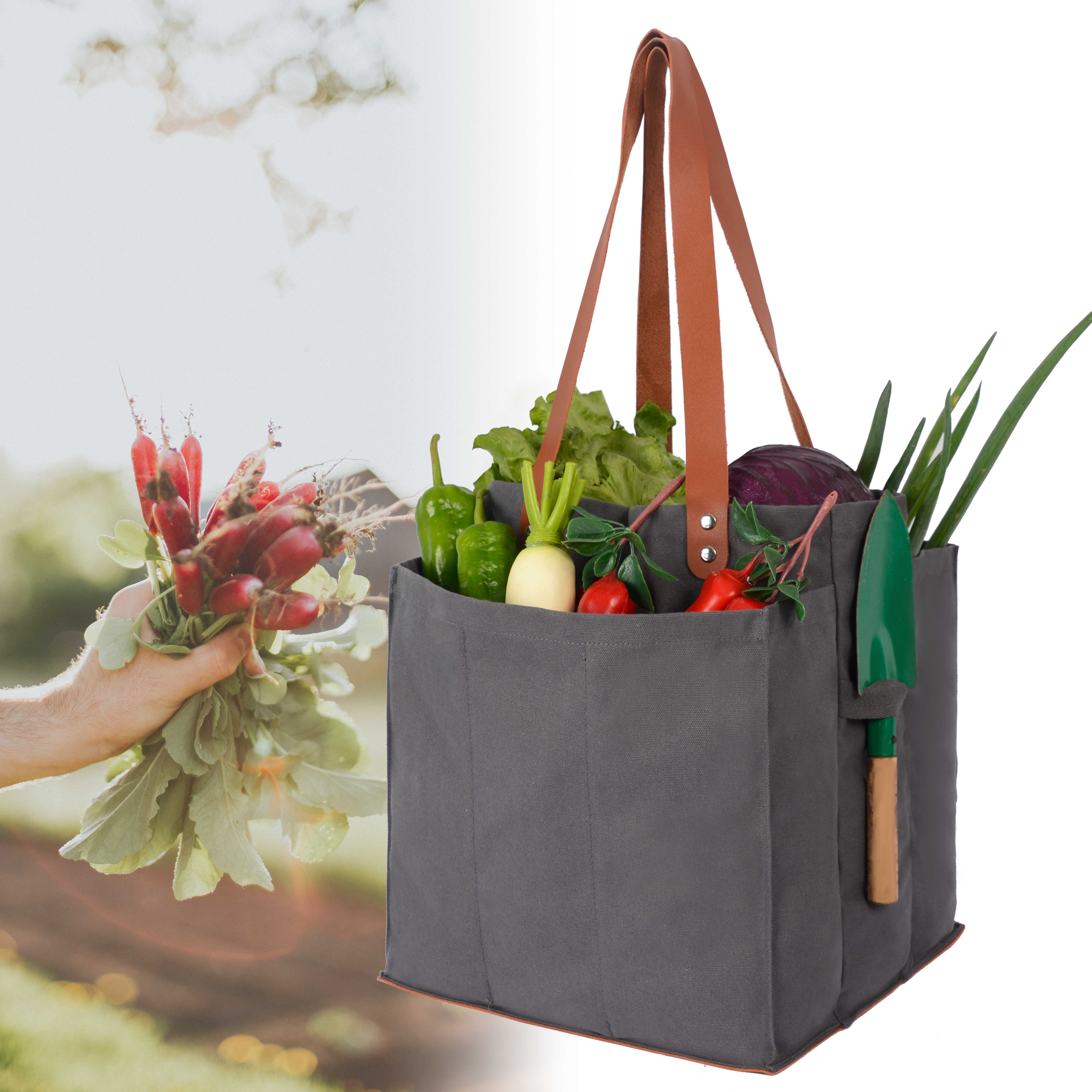 Reusable Shopping