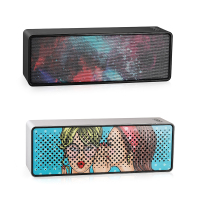 F2Speaker