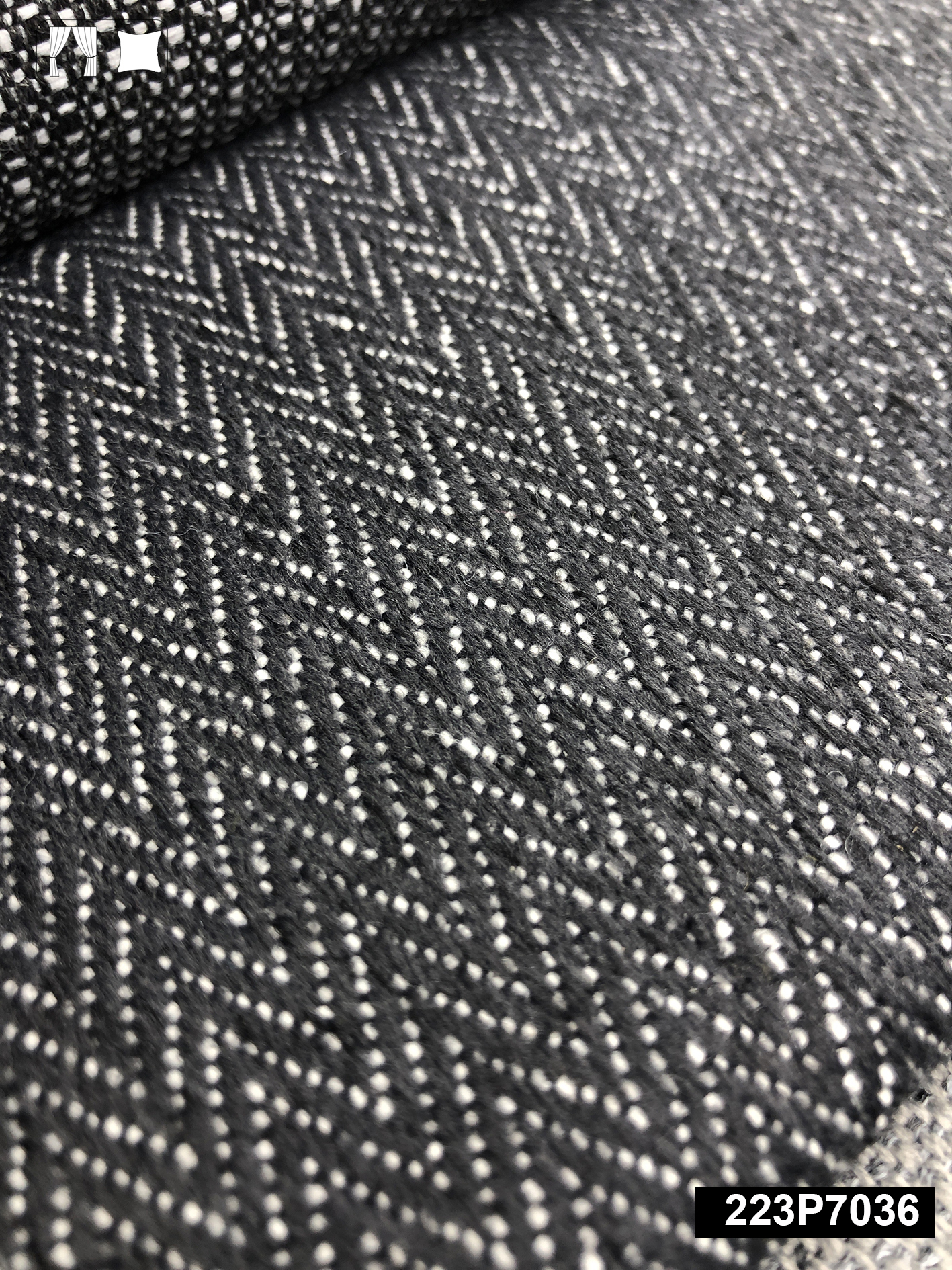 223P7036