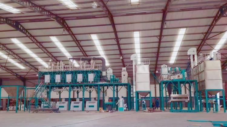 100t maize milling machine