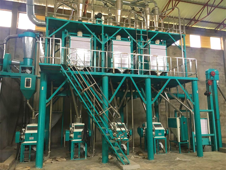 36T/24H wheat flour mill machine