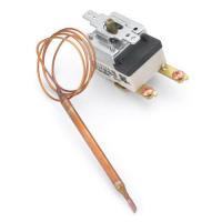 hot-capillary-thermostat-500x500