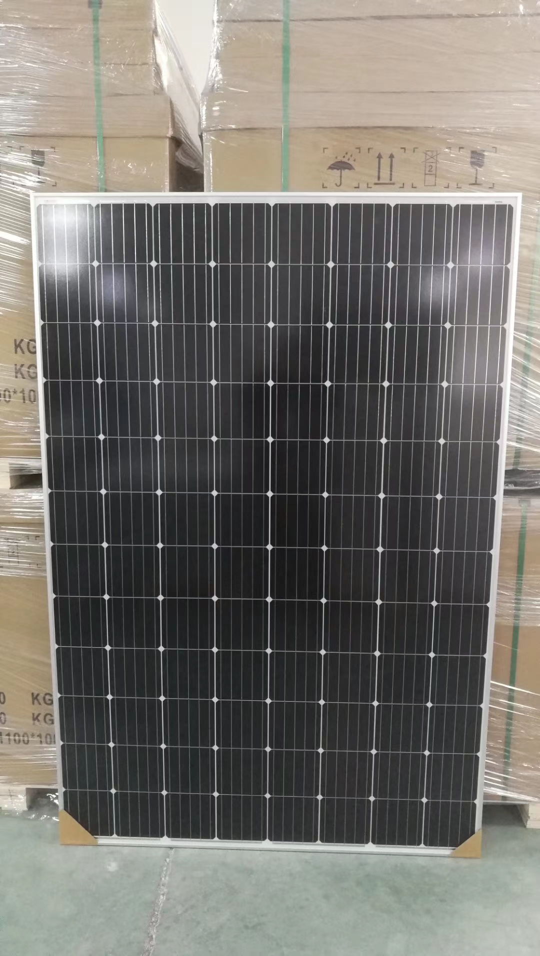 dd6fcc0fb6d50d3ccaf52e1e04f7fc2