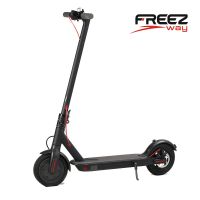 FreezwayelectricscooterS2