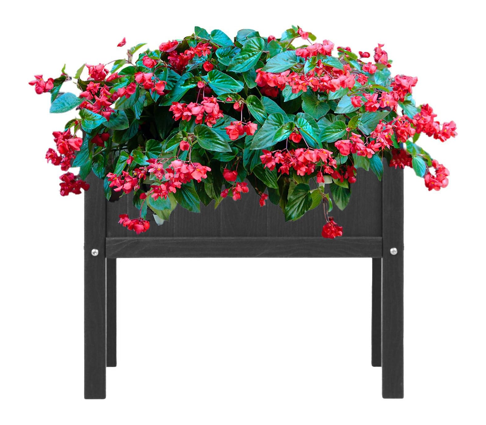 花箱