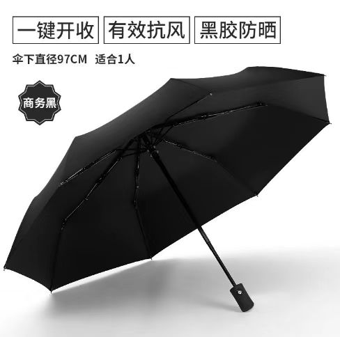 S22137umbrella