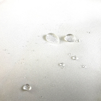 56a4ff1b734665ceb7de0b4512e41260