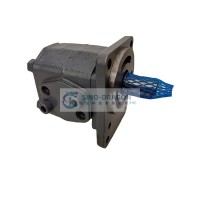 GSP2-AOS16AR-AO-GEARPUMP-hatchcover-3