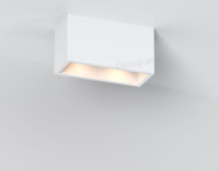 “D1174W-1