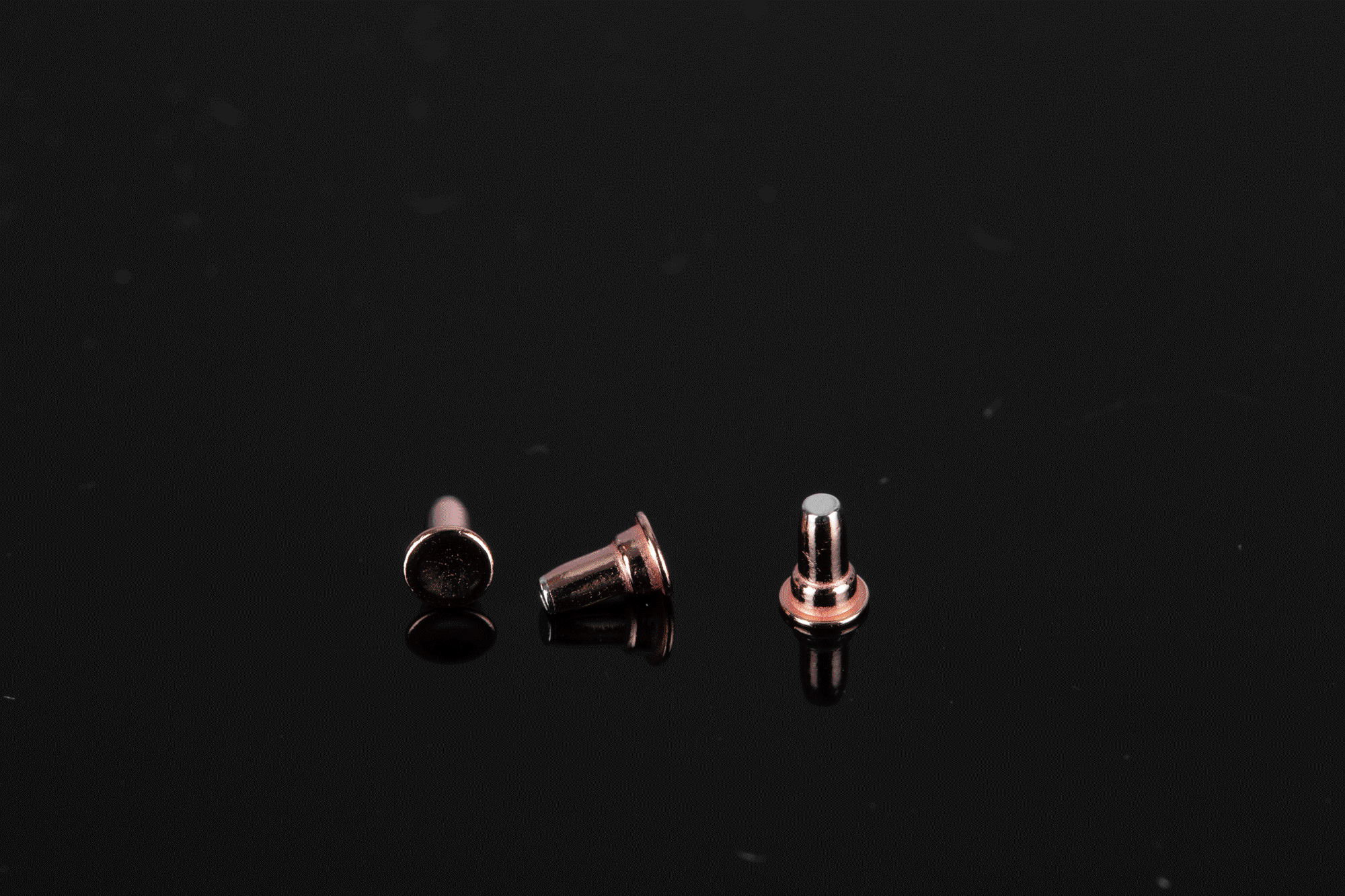 Ningbo Shuncheng Electrical Appliance Co., Ltd.