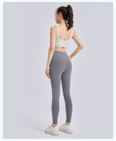 O1CN015GLFuw22fNjWyWQw1_!!1968207147-0-cib