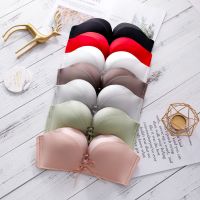 O1CN01wVBlmp22hCwzmdg0c_!!3962807151-0-cib