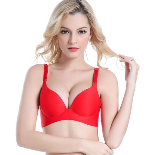 2889409377_1540837503