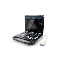 CMS1700B-VET
