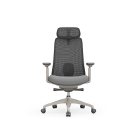 CH-VE白底_CoronaCamera001