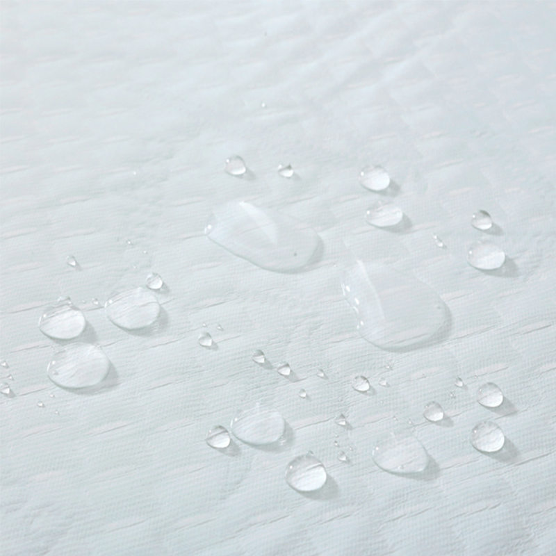 mattressprotectorZJSFM2106