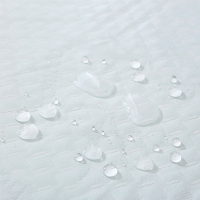 mattressprotectorZJSFM2106