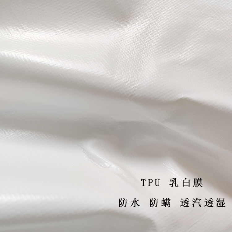 无纺布床笠ZJSF2112.3详情图