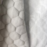 石墨烯ZJSF7002.4主图