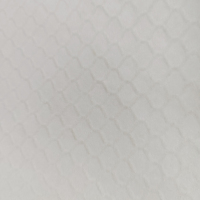 压花无纺布1604.3