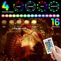 RuyilamChristmaslight3._AC_SL1500_