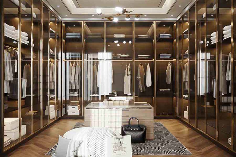 walk-in closet with glass door panels