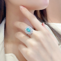 32、JR176Y-13362567449822748