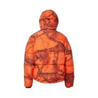 2bfca4b8bee303e24434b9dbe58a77a4