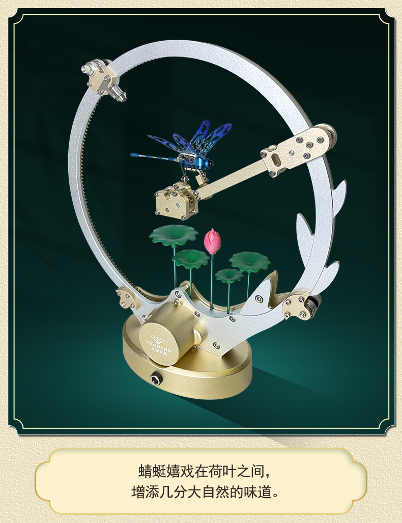 蜻蜓详情-新款06_03