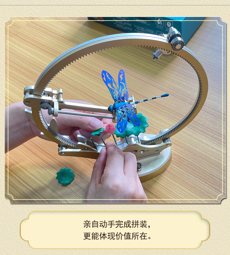 蜻蜓详情-新款06_04