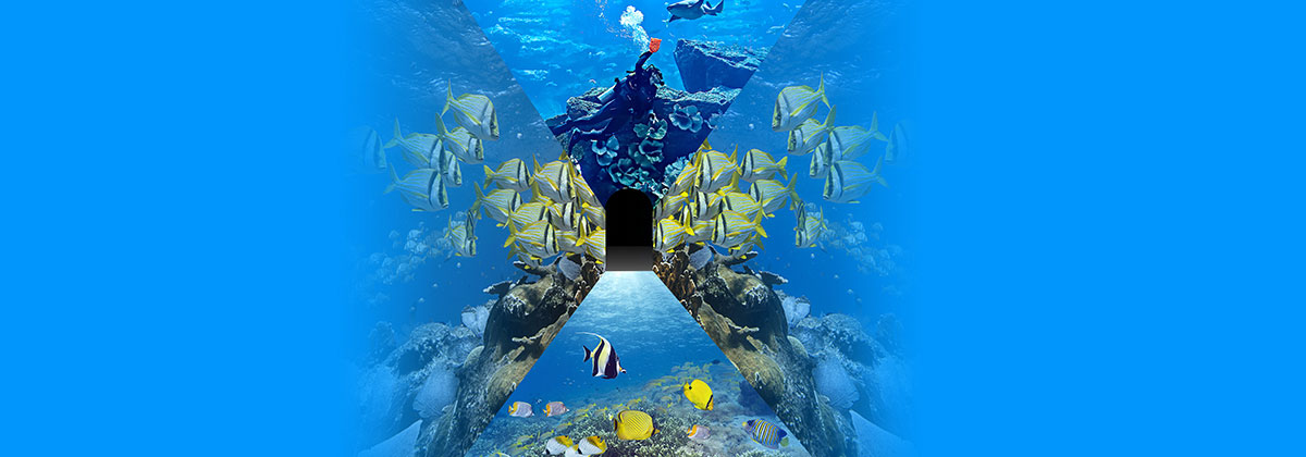 Underwater Tunnel