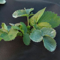 9169071447_20081039183