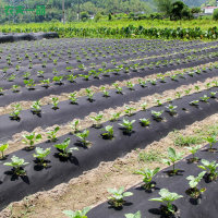 O1CN01coNCBe1r2wbmn0bQP_!!2217637525574-0-cib