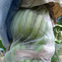 9169071447_20081039183