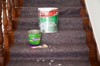 11125982638_101228273