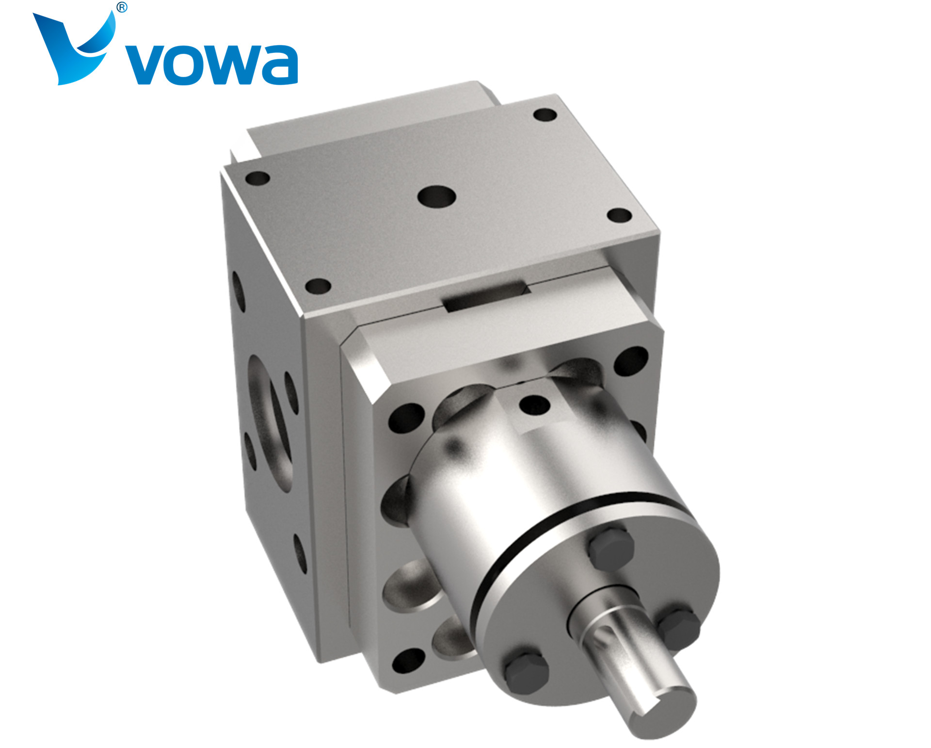 AESeriesMeltGearPump-03_副本