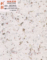 LE1S25130-250624-2